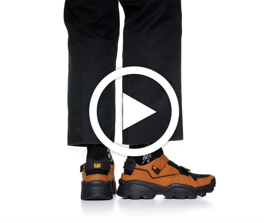 Omida Neagră Deviantă