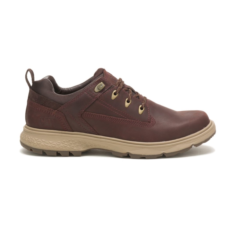 Piatra Bruna Caterpillar Outrider Lo
