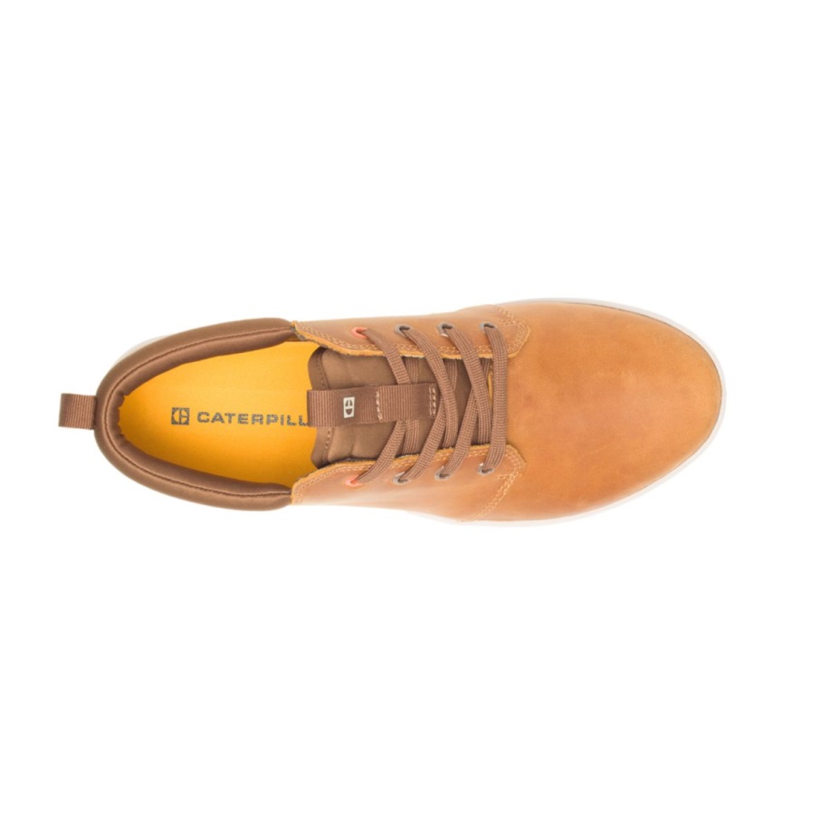 Cod De Algoritm Caterpillar Proxy Dantela