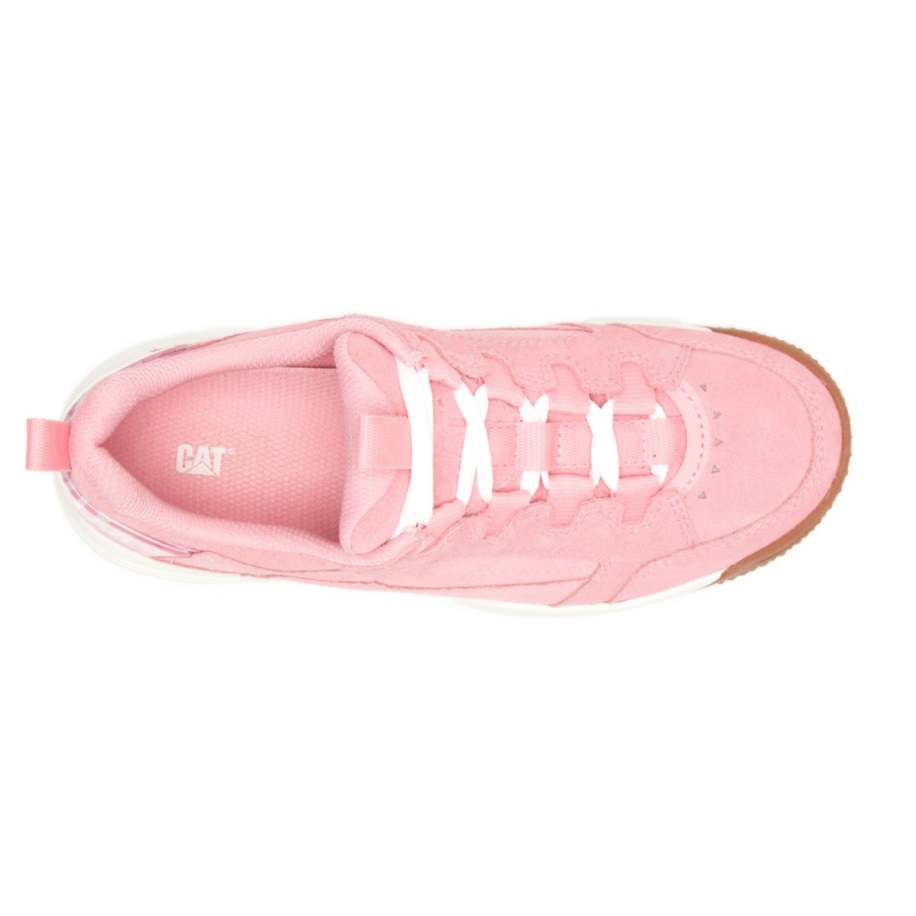 Glazura Roz Caterpillar Blaze